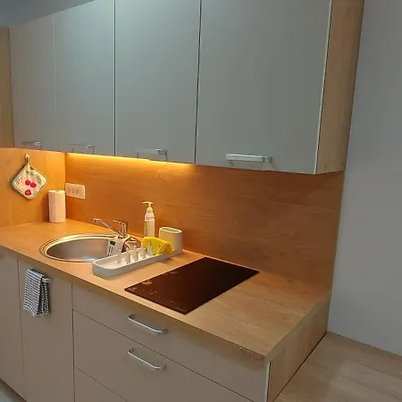 Apartma Oli Apartment *