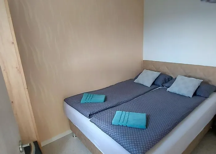 Apartma Oli 公寓 *