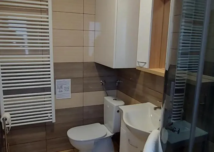 Apartma Oli 科佩尔