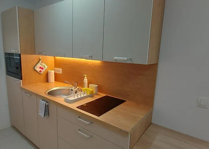 Apartma Oli 公寓 *